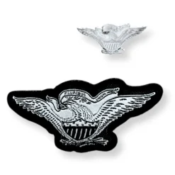 American Eagle Patch and Lapel Pin