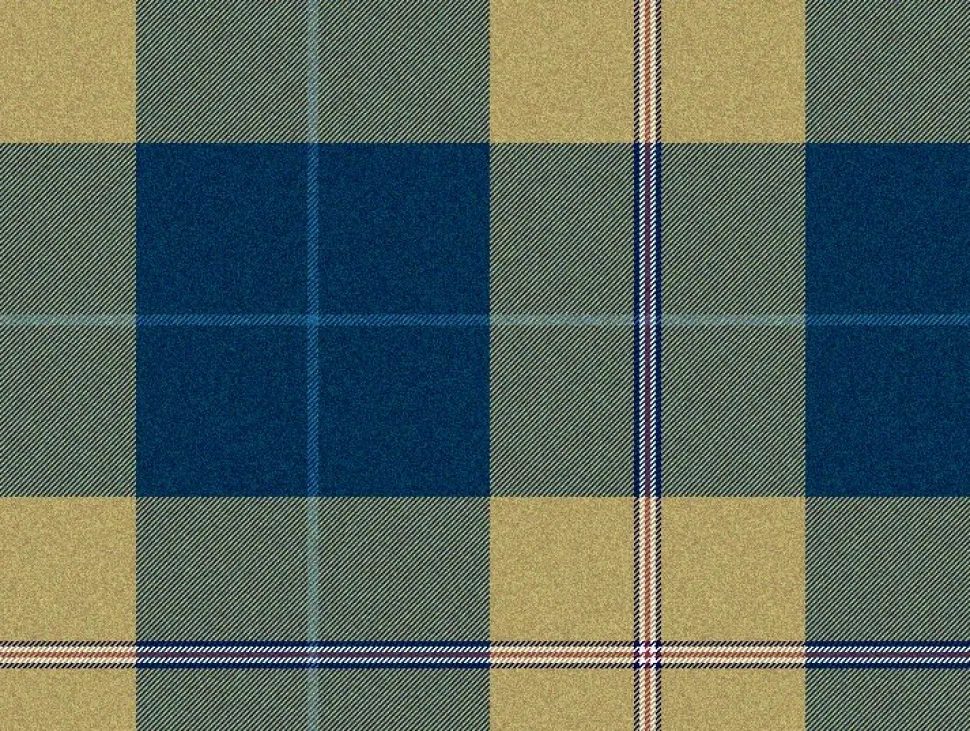 Lambswool Tartan Scarf - Mount Vernon